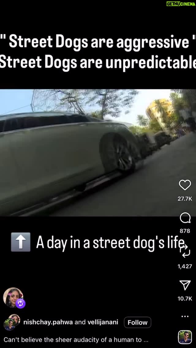 Mansha Bahl - 535 Likes - So a research was done. & a street was made to wear a body cam. So this is what a regular street dog goes thru in a day in his/ her life. N after all this, u blame them for attacking - BLAME your mindset. #savestreetdogsofdelhincr #savestreetdogsofdelhi