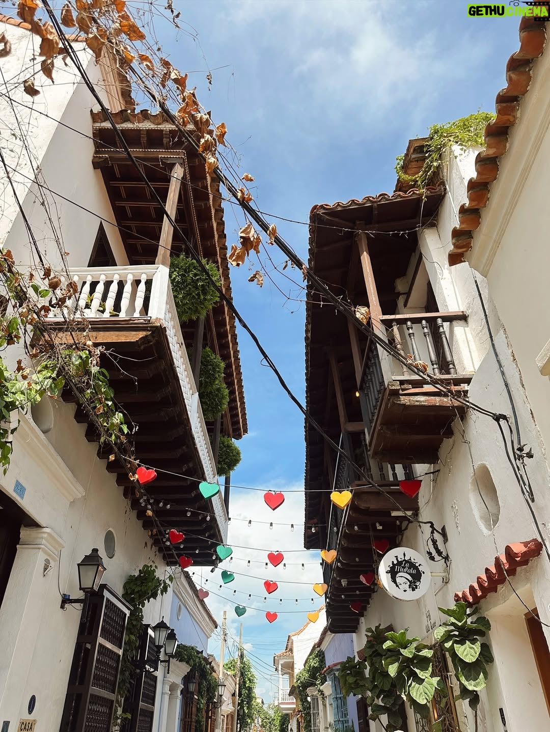 María González Roesch - 3 Likes - Cartagena vibes 🦀 y un pedacito de Costa Rica viajando conmigo hasta el Caribe colombiano 🌴 

Legado costarricense vía @concepcionmiranda ♥️
