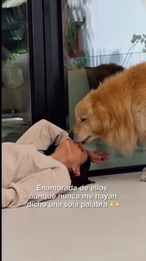 María Pía Copello Instagram - Siempre hay amor esperandote en casa ❤️🐶🐕 Ellos tienen el don de siempre hacerte sonreír 😍 Cuéntenme cómo se llaman sus engreídos y taggéenme en sus fotitos en stories 🐾
