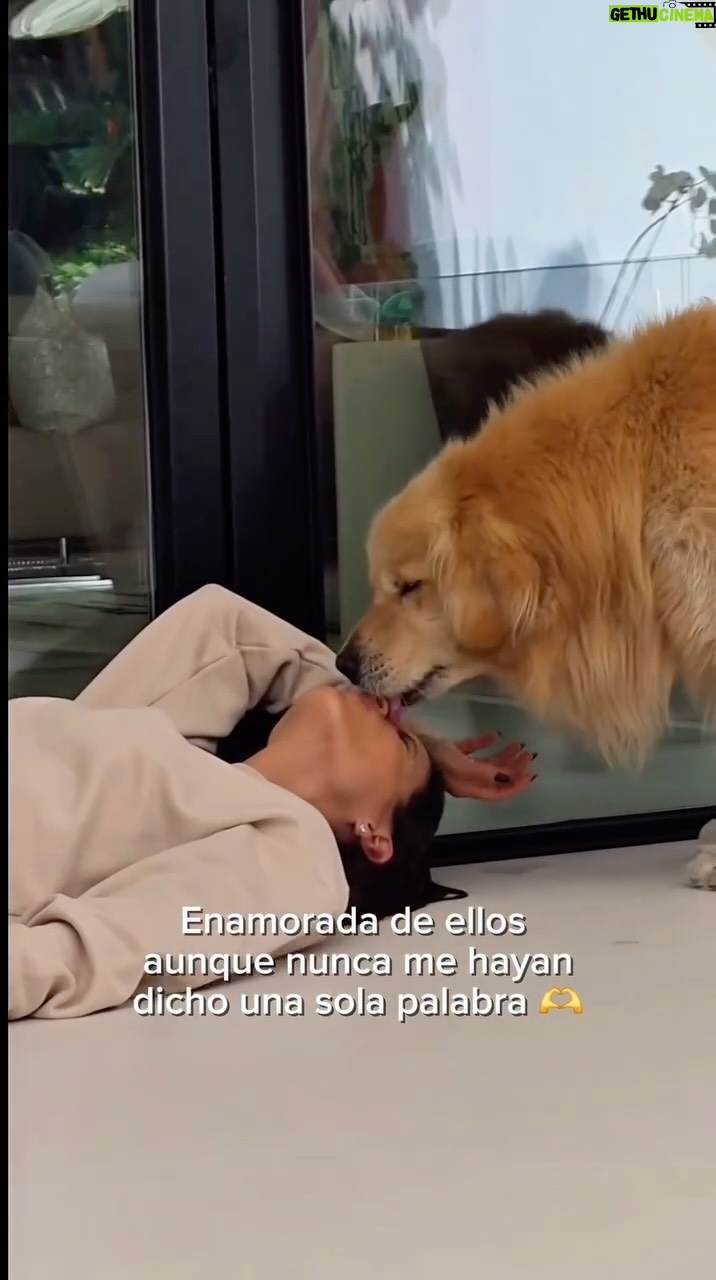 María Pía Copello - 9.9K Likes - Siempre hay amor esperandote en casa ❤️🐶🐕 Ellos tienen el don de siempre hacerte sonreír 😍 Cuéntenme cómo se llaman sus engreídos y taggéenme en sus fotitos en stories 🐾