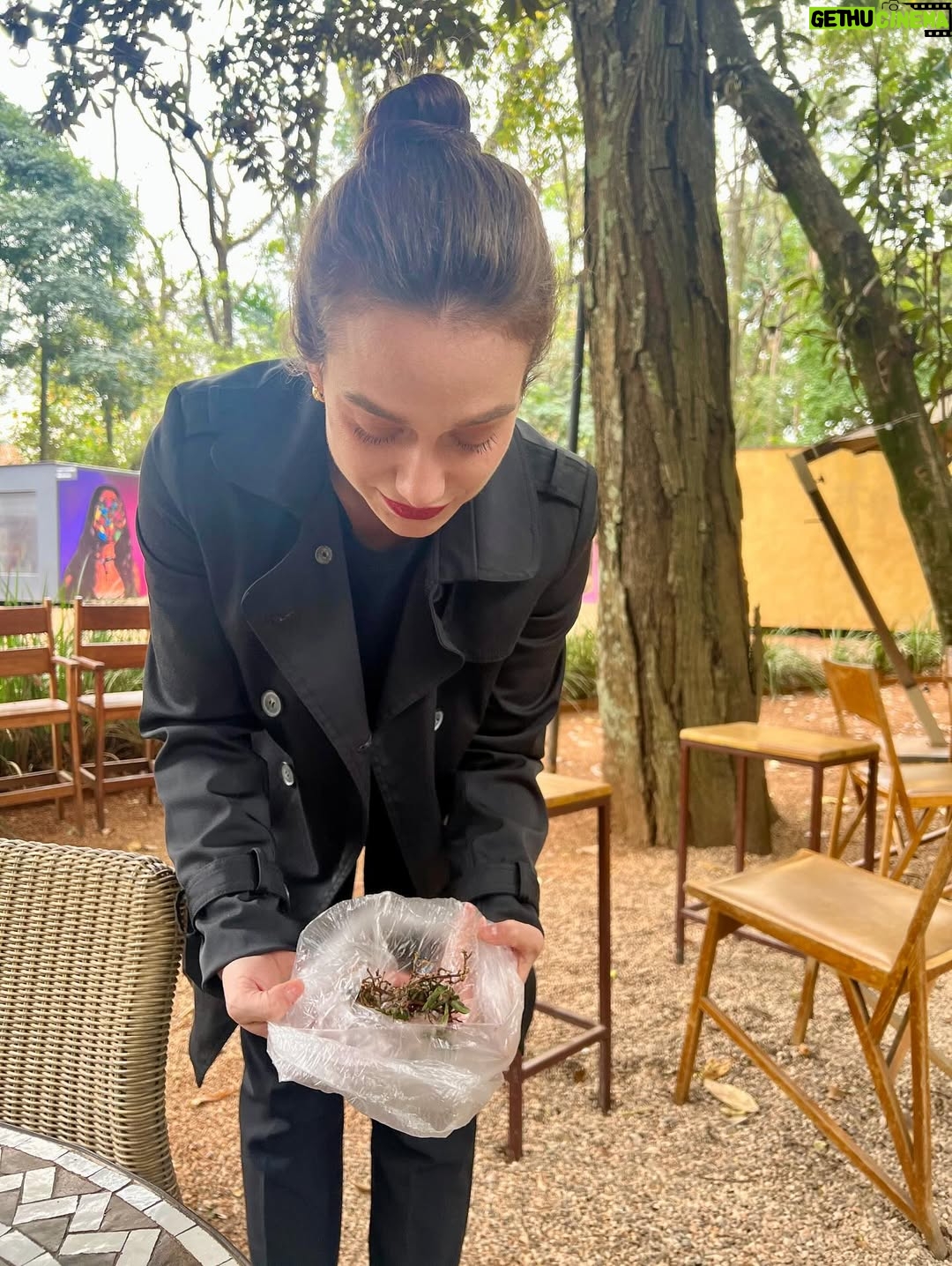 Maria Pinna - 5.8K Likes - T  E  M  P  E  R  A  M  E  N  T  O

teve de tudo: festival, amigos, Tarsila, moqueca, limoncello, brigadeiro de capim santo, sarau, acarajé, vinho, gravações…
E até gíria brasileira virando francês na mesa.
