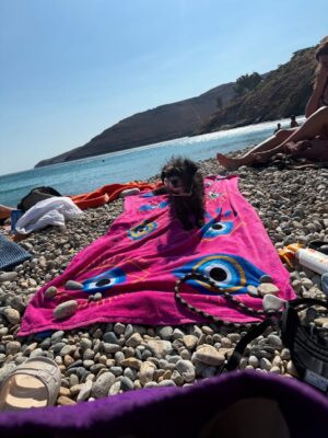 Maria Solomou Instagram - SERIFOS
————-
#δεθαφυγωαπτονησι
