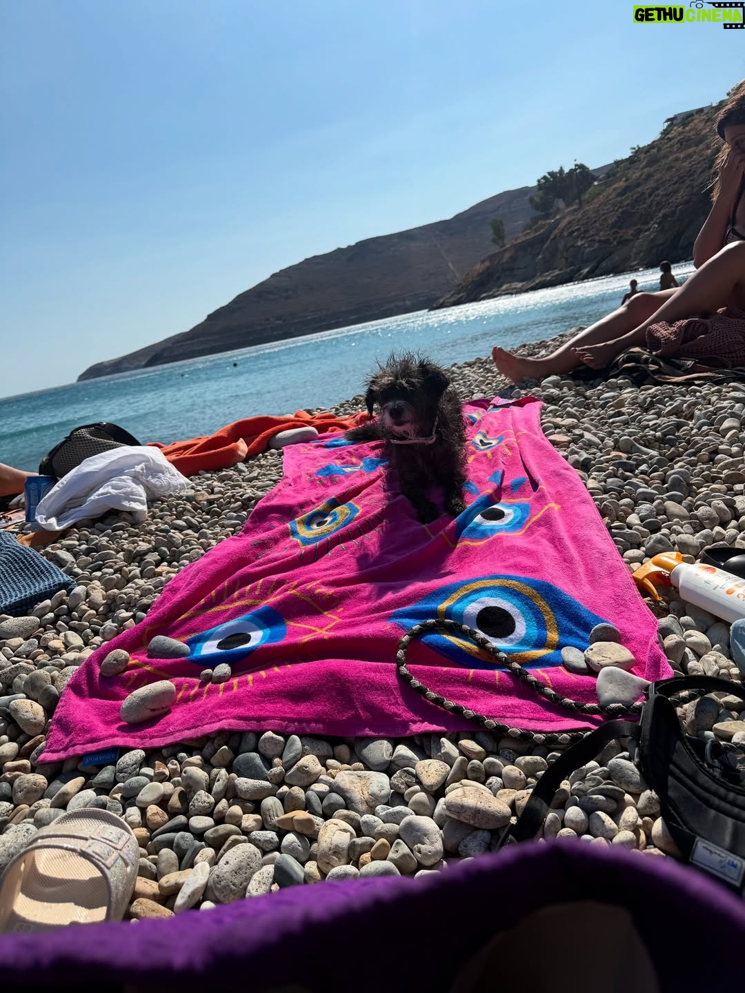 Maria Solomou - 16K Likes - SERIFOS
————-
#δεθαφυγωαπτονησι