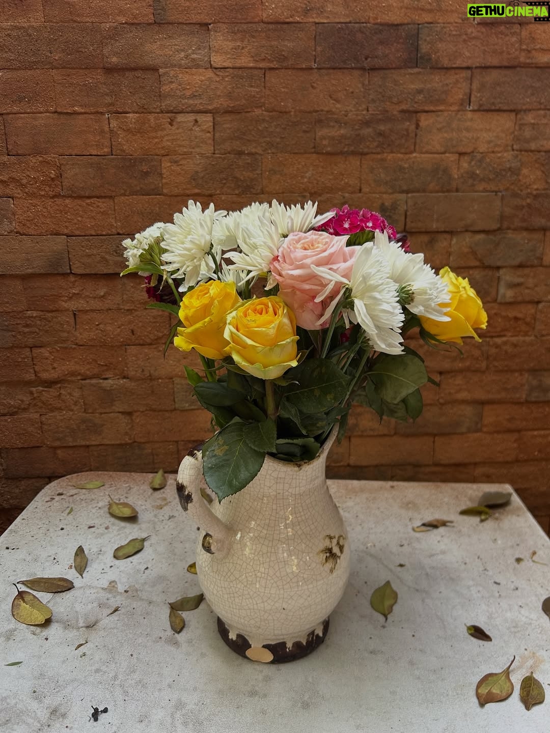 Mariana Di Girolamo - 20.3K Likes - La semana pasada recibí treinta y cinco primaveras, gracias por el cariño y buenos deseos 🌷🎂💞🌻🎀