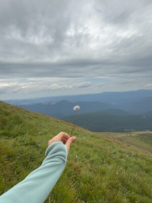 Marina Mazepa Instagram - I conquered Hoverla — the highest mountain in Ukraine💙💛 Swipe!
.
Today’s climb up Hoverla taught me something big
- the last steps are always the hardest. Right before the top is where most people quit, but if you push just a little further you get the reward. That’s where you win. Keep going until the breakthrough!

#Говерла (2061 м) / #Hoverla #marinamazepa #ɴᴇᴠᴇʀɢɪᴠᴇᴜᴘ #ukrainiangirl #capathianmountains