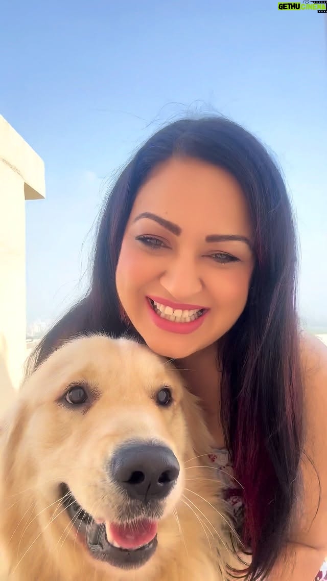 Maryam Zakaria - 16.3K Likes - Addicted to his love, his energy, and our silly little dance sessions on the terrace 😄💃🐶

#dancingdog #goldenretriever #goldenretrieverworld #cutnessoverload #reelsinstagram #explore #addictedtoyou