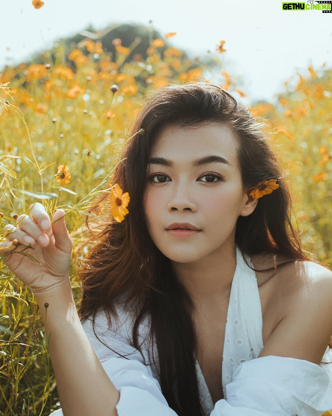 May Toe Khine - 4.3K Likes - Woman of earth. 🌼🤍

#MayToeKhine