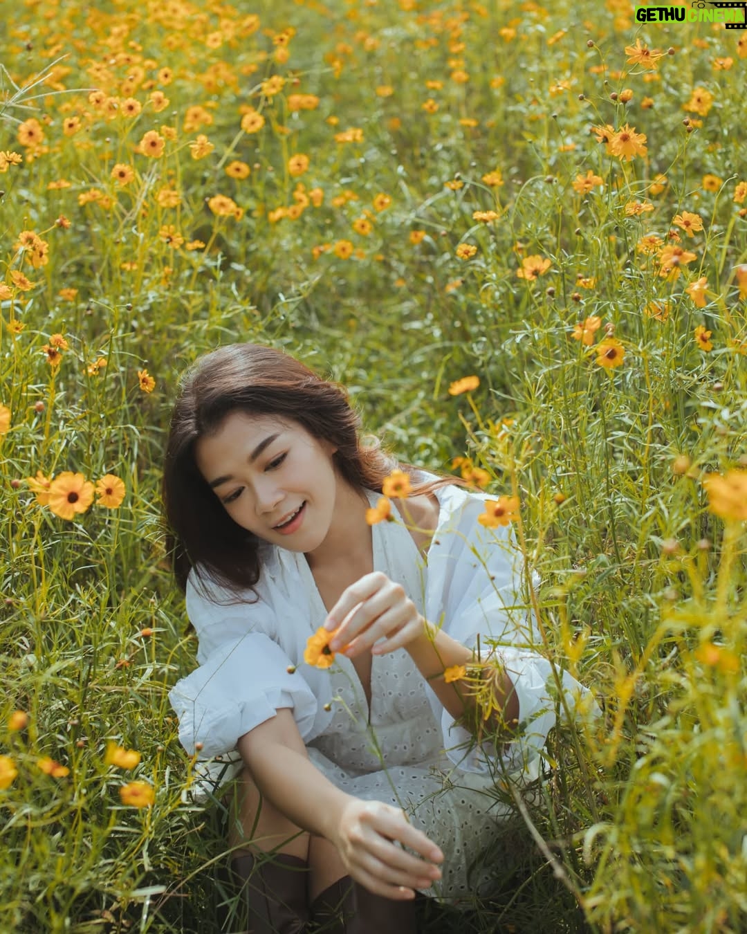 May Toe Khine - 4.3K Likes - Woman of earth. 🌼🤍

#MayToeKhine