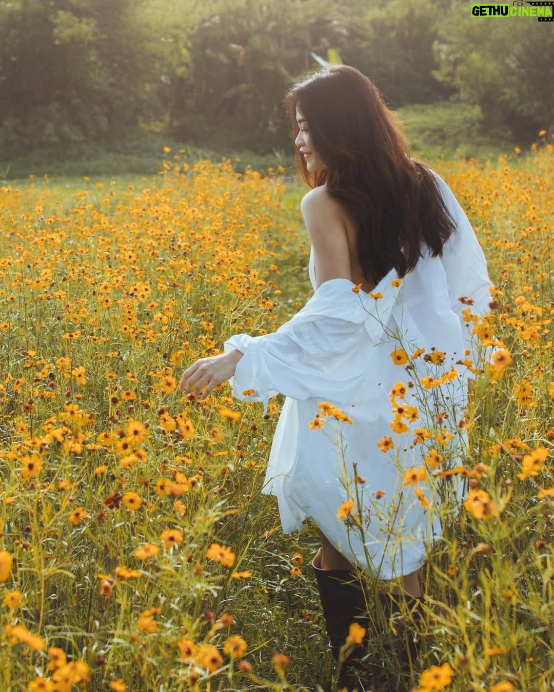 May Toe Khine - 4.3K Likes - Woman of earth. 🌼🤍

#MayToeKhine