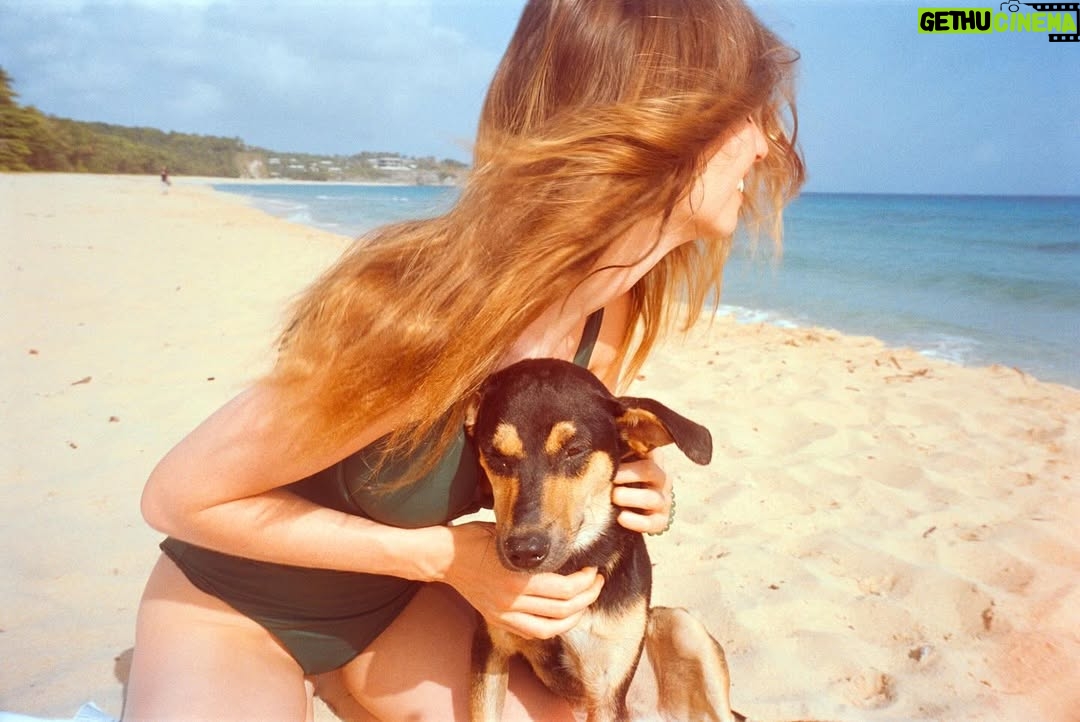 Maya Hawke - 584.8K Likes - 27