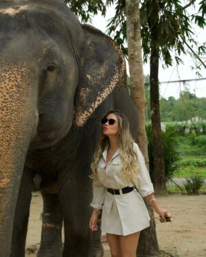 Mayra Goñi Instagram - A estos momentos los llama mágicos, cargados de amor, espiritualidad, y paz. Una de las cosas más tiernas y emocionantes que he vivido🐘🤍 Gracias @theofficialpandora 🥹🫶🏽✨
Sin embargo, ya quisiera yo tener una varita mágica y poder regresarlos a su habitat.
Lastimosamente, sería imposible pues morirían,
Se trata elefantes rescatados de circo o espectáculos.
Pero, hay fundaciones maravillosas como esta, que trabajan incansablemente para conservarlos en medio del amor, cuidados y alimentación.
#FromThailandWithLove #PandoraSquad24 #PandoraTakesThailand #Pandora