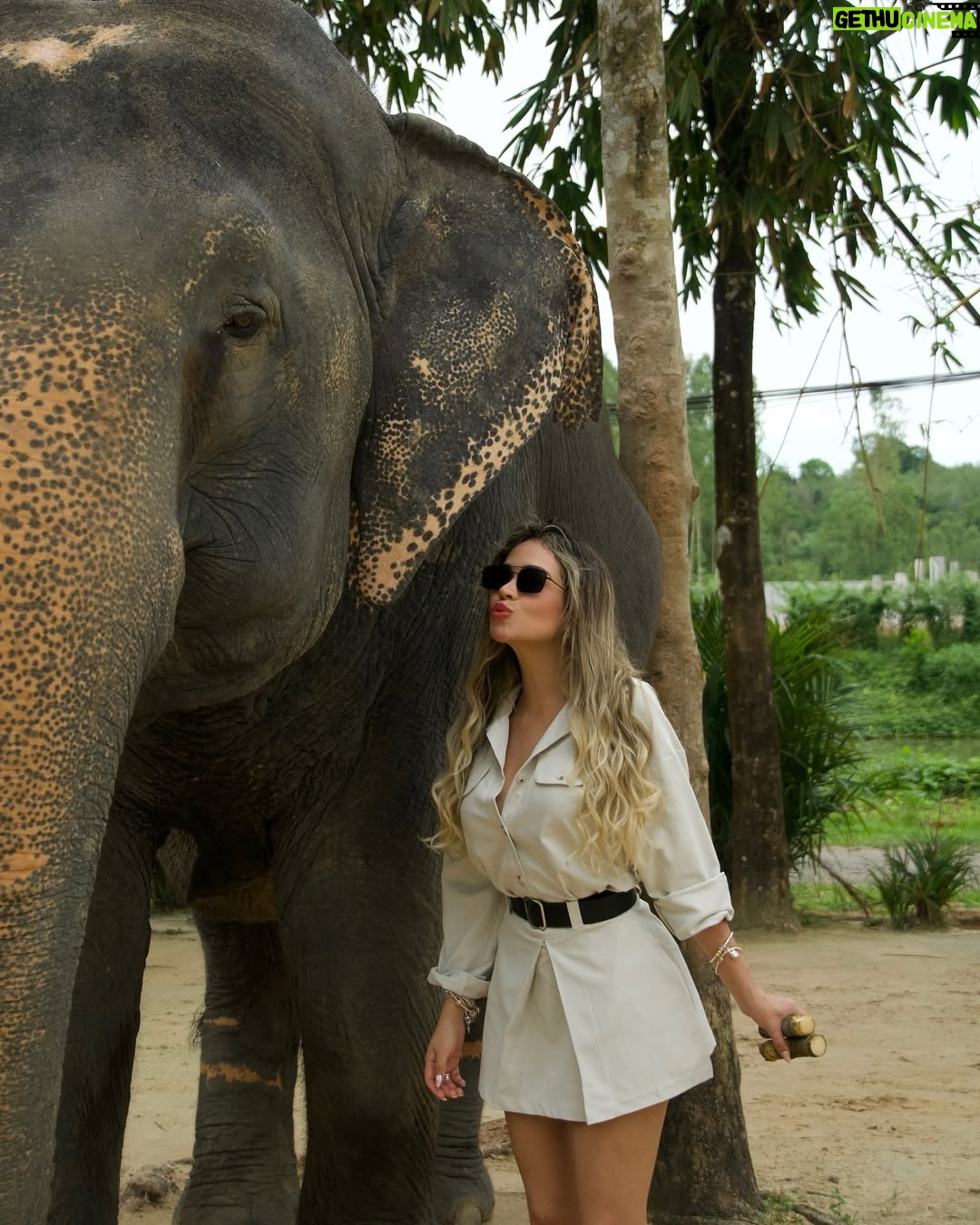 Mayra Goñi - 28.6K Likes - A estos momentos los llama mágicos, cargados de amor, espiritualidad, y paz. Una de las cosas más tiernas y emocionantes que he vivido🐘🤍 Gracias @theofficialpandora 🥹🫶🏽✨
Sin embargo, ya quisiera yo tener una varita mágica y poder regresarlos a su habitat.
Lastimosamente, sería imposible pues morirían,
Se trata elefantes rescatados de circo o espectáculos.
Pero, hay fundaciones maravillosas como esta, que trabajan incansablemente para conservarlos en medio del amor, cuidados y alimentación. 

 #FromThailandWithLove #PandoraSquad24 #PandoraTakesThailand #Pandora