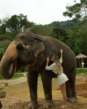 Mayra Goñi Instagram - A estos momentos los llama mágicos, cargados de amor, espiritualidad, y paz. Una de las cosas más tiernas y emocionantes que he vivido🐘🤍 Gracias @theofficialpandora 🥹🫶🏽✨
Sin embargo, ya quisiera yo tener una varita mágica y poder regresarlos a su habitat.
Lastimosamente, sería imposible pues morirían,
Se trata elefantes rescatados de circo o espectáculos.
Pero, hay fundaciones maravillosas como esta, que trabajan incansablemente para conservarlos en medio del amor, cuidados y alimentación.
#FromThailandWithLove #PandoraSquad24 #PandoraTakesThailand #Pandora
