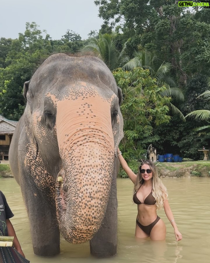 Mayra Goñi - 28.6K Likes - A estos momentos los llama mágicos, cargados de amor, espiritualidad, y paz. Una de las cosas más tiernas y emocionantes que he vivido🐘🤍 Gracias @theofficialpandora 🥹🫶🏽✨
Sin embargo, ya quisiera yo tener una varita mágica y poder regresarlos a su habitat.
Lastimosamente, sería imposible pues morirían,
Se trata elefantes rescatados de circo o espectáculos.
Pero, hay fundaciones maravillosas como esta, que trabajan incansablemente para conservarlos en medio del amor, cuidados y alimentación. 

 #FromThailandWithLove #PandoraSquad24 #PandoraTakesThailand #Pandora