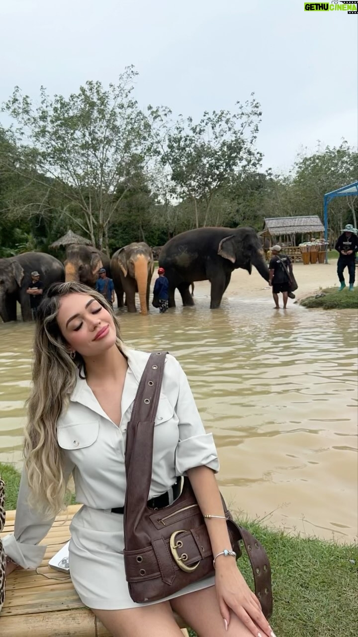 Mayra Goñi - 40.3K Likes - Green Elephant Sanctuary 🐘🤍 @theofficialpandora 

#FromThailandWithLove #PandoraSquad24 #PandoraTakesThailand #Pandora