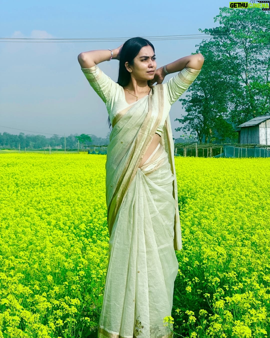 Meenakshi Borah - 6.4K Likes - Sunshine in a field of gold…💛
.
.
.
.
.
.
.
.
#explore