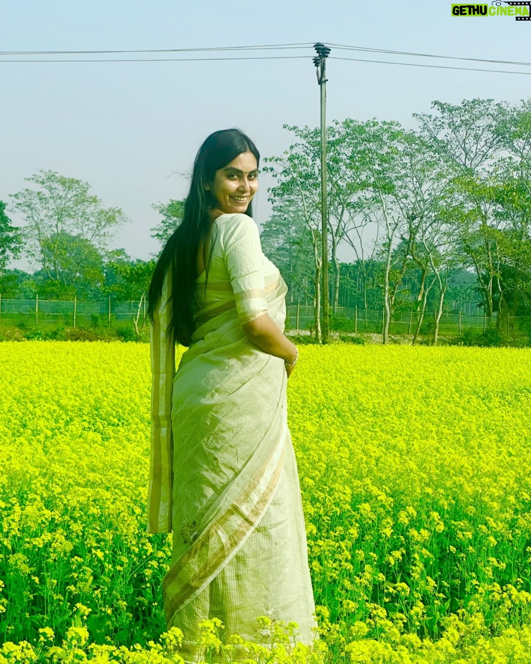 Meenakshi Borah - 6.4K Likes - Sunshine in a field of gold…💛
.
.
.
.
.
.
.
.
#explore