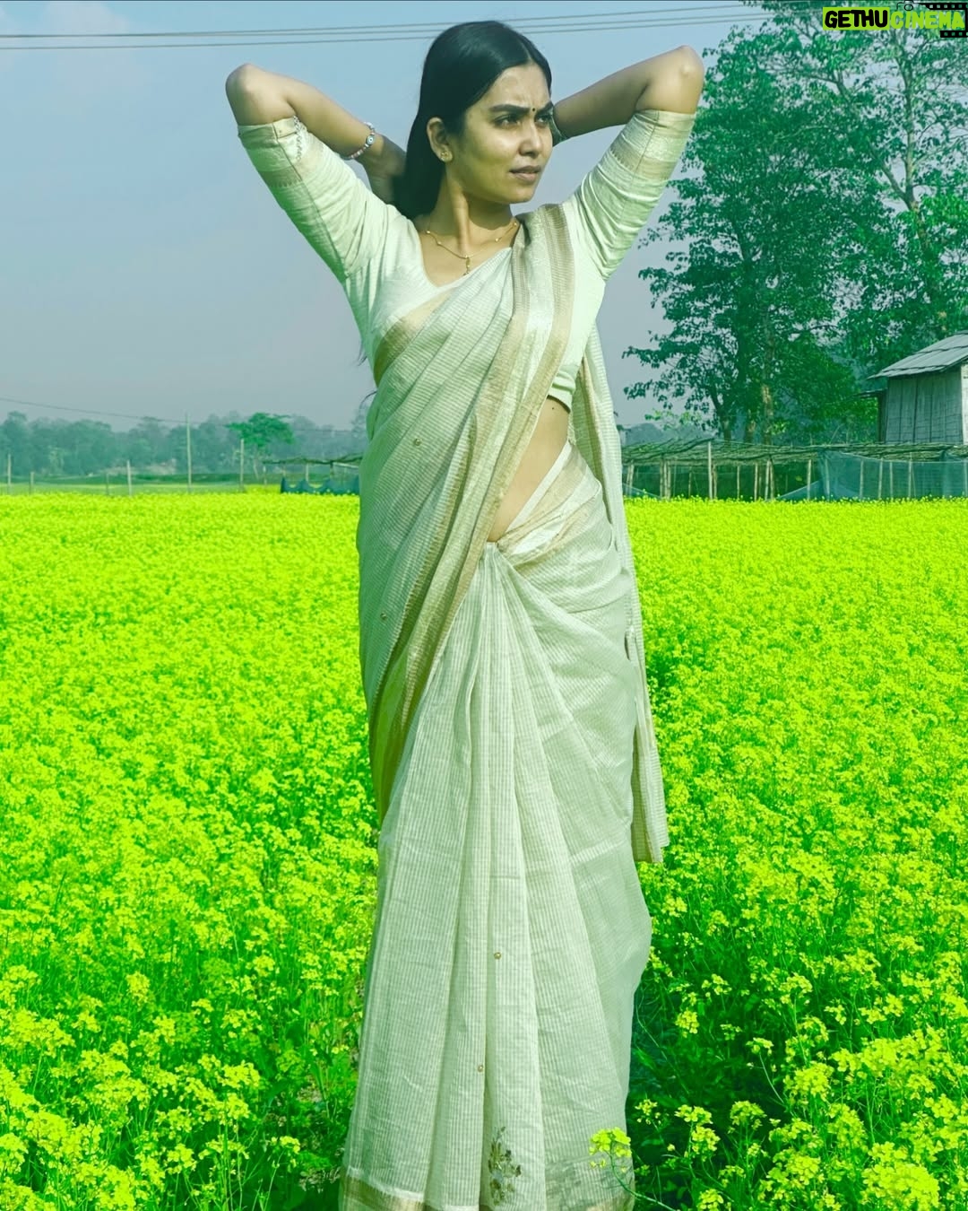 Meenakshi Borah - 6.4K Likes - Sunshine in a field of gold…💛
.
.
.
.
.
.
.
.
#explore