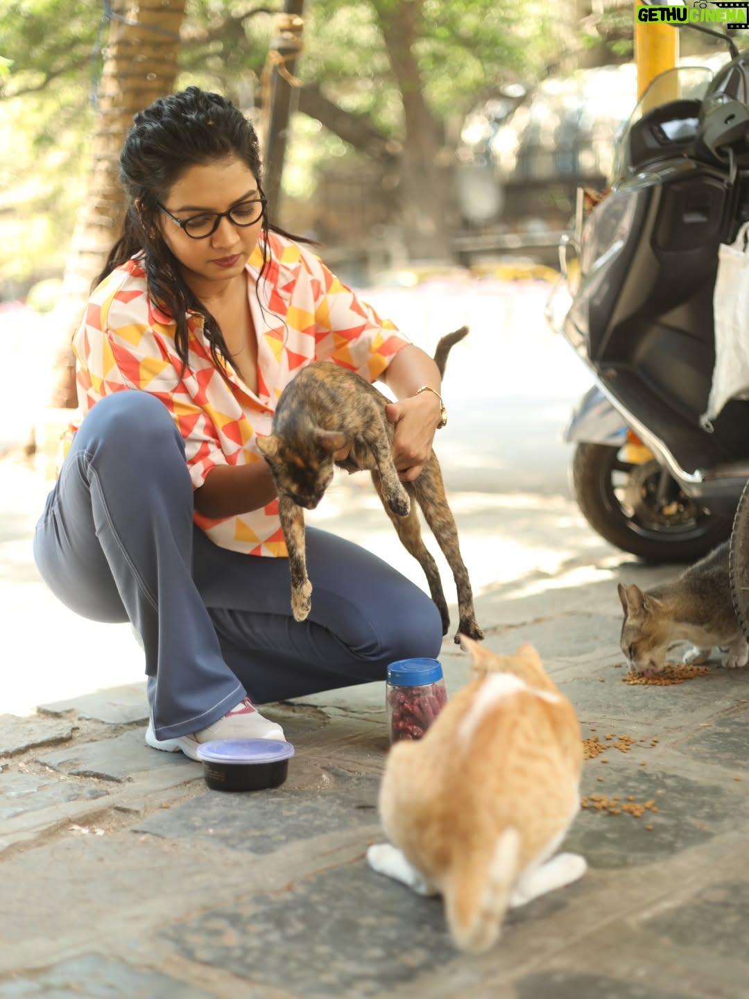 Meera Joshi - 1.3K Likes - May God treat you the way you treat animals.....
...
Top & Boot-cut Pants: @altruismofficial
.....
Clicked by: @rishs.media
...
#shirt #meerajoshi #meera #shirtdesign #shirts #printed #toystory #toys #croptop #croptops #printedshirt #smile #bootygoals #bum #jeans #hair #curlyhair #altruism #fashion #fashionstyle #model #modeling #actress #marathiactress #specs #jeggings #style #poses #bootcutjeans #bootcut