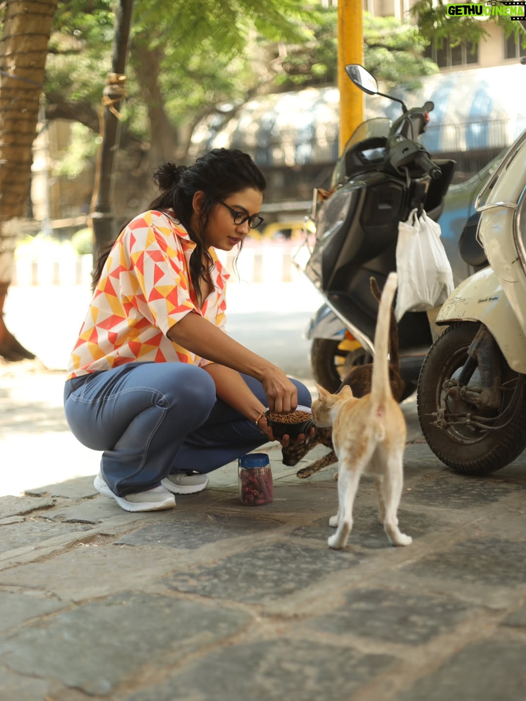 Meera Joshi - 1.3K Likes - May God treat you the way you treat animals.....
...
Top & Boot-cut Pants: @altruismofficial
.....
Clicked by: @rishs.media
...
#shirt #meerajoshi #meera #shirtdesign #shirts #printed #toystory #toys #croptop #croptops #printedshirt #smile #bootygoals #bum #jeans #hair #curlyhair #altruism #fashion #fashionstyle #model #modeling #actress #marathiactress #specs #jeggings #style #poses #bootcutjeans #bootcut