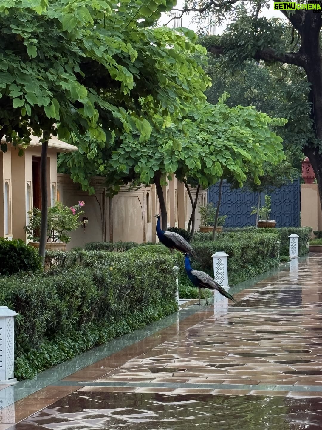 Mehak Bakshi - 3.5K Likes - Jaipur in monsoon🩷