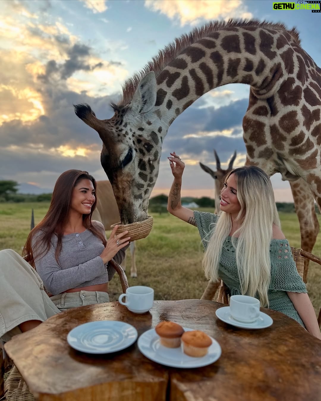 Mélanie Dedigama - 159.9K Likes - C’était extraordinaire 🫶🏽 
Merciii @manontanti pour cette surprise de dingue 🥹🙌🏽
@servalwildlife 🤍
🦓 🦒 🐃