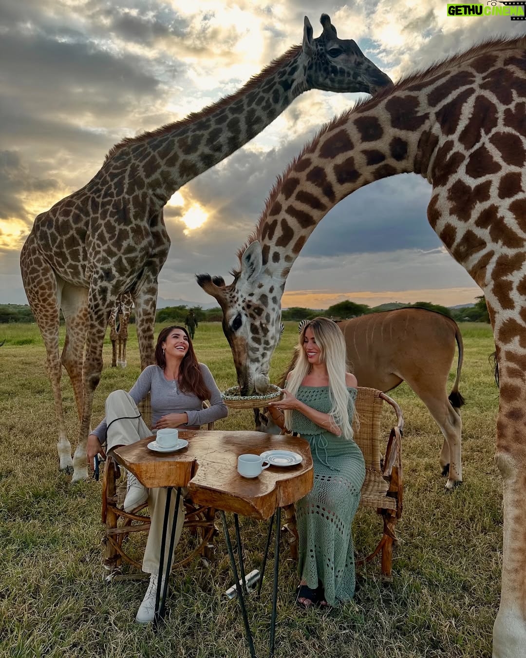 Mélanie Dedigama - 159.9K Likes - C’était extraordinaire 🫶🏽 
Merciii @manontanti pour cette surprise de dingue 🥹🙌🏽
@servalwildlife 🤍
🦓 🦒 🐃