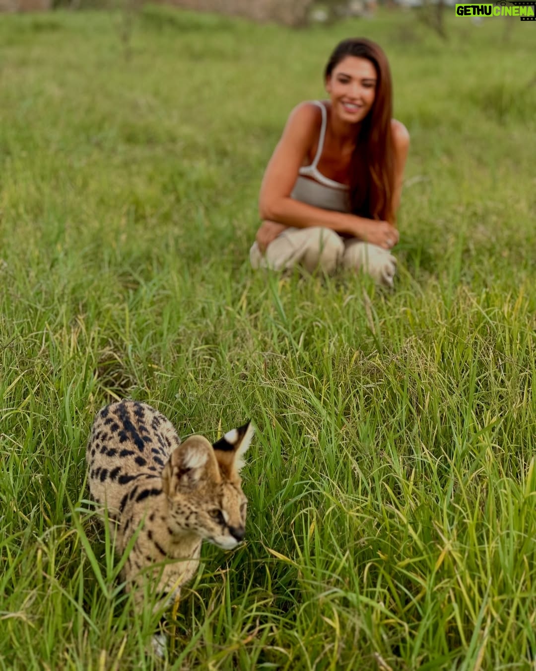 Mélanie Dedigama - 159.9K Likes - C’était extraordinaire 🫶🏽 
Merciii @manontanti pour cette surprise de dingue 🥹🙌🏽
@servalwildlife 🤍
🦓 🦒 🐃