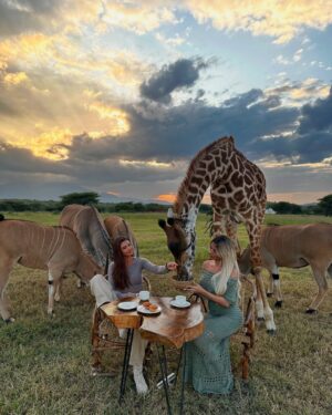 Mélanie Dedigama Instagram - C’était extraordinaire 🫶🏽 
Merciii @manontanti pour cette surprise de dingue 🥹🙌🏽
@servalwildlife 🤍
🦓 🦒 🐃