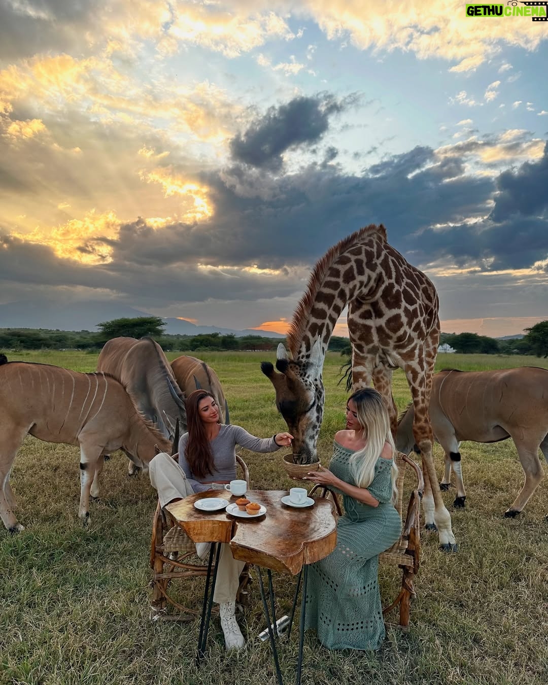 Mélanie Dedigama - 159.9K Likes - C’était extraordinaire 🫶🏽 
Merciii @manontanti pour cette surprise de dingue 🥹🙌🏽
@servalwildlife 🤍
🦓 🦒 🐃