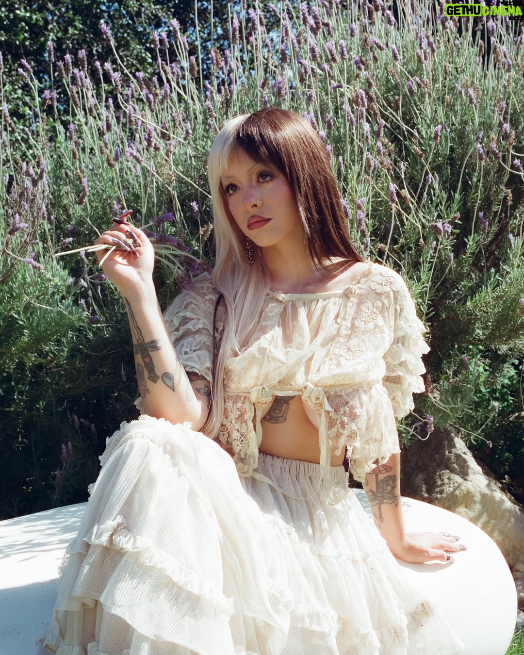 Melanie Martinez - 1.3 Million Likes - 30.

𓆝 𓆟 𓆞 𓆝 𓆟

I’ve never taken existing on earth lightly. It is sacred to be here. Even creating is always life or death. I took an axe to anything that didn’t serve my highest purpose in my 20’s. 

My child self is smiling, thanking me for keeping her alive. Any bit of abundance I receive I cannot be ashamed of because I know my lineage feels it’s karmic justice. I’ve watered my creativity and individuality with integrity. My intentions to help people heal through art has always remained the same. This new decade of life is about cutting all distractions and being ruthless about my purpose. Transmutation, magic, a divine union of love, not owing anyone anything, lifting the veil, art that cuts deep to heal deeper.
