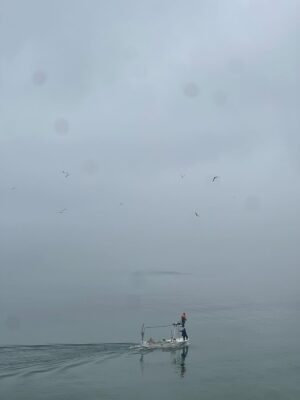 Melisa Şenolsun Instagram - Sinop ben seni çok sevdim 🐳🌊🌲🌳🌦️