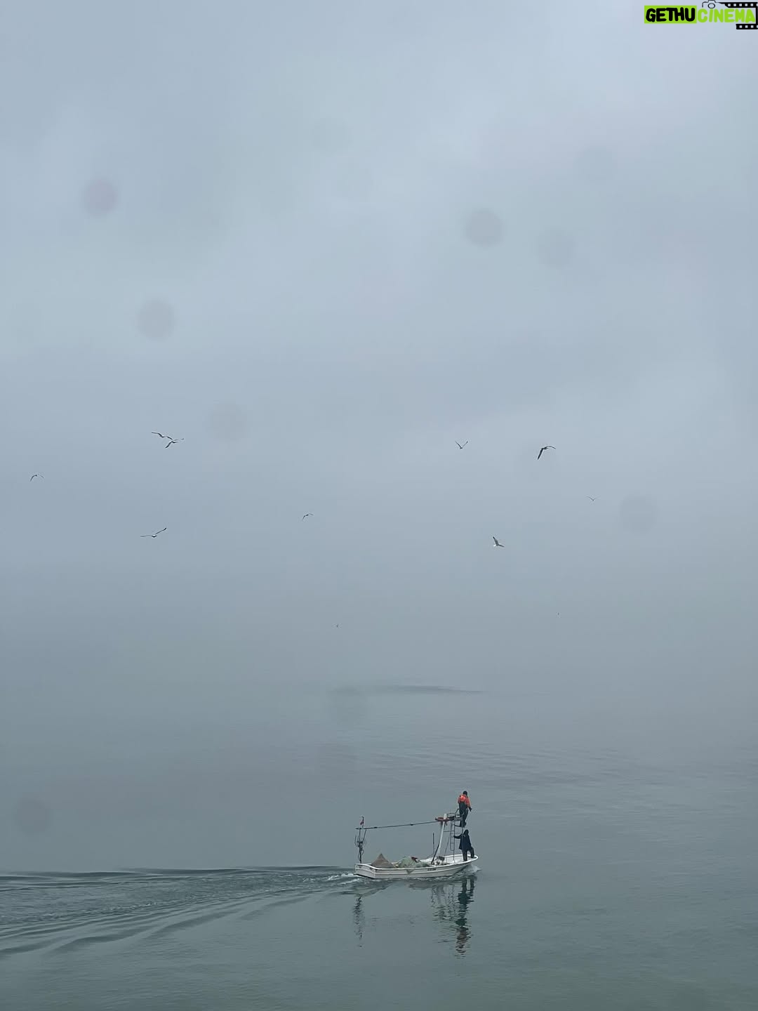Melisa Şenolsun - 15.9K Likes - Sinop ben seni çok sevdim 🐳🌊🌲🌳🌦️