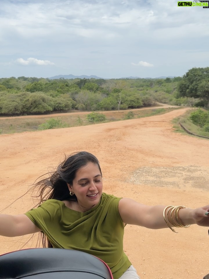 Meru Panwar Grover - 38.1K Likes - Jungle safari with my monkey 🐵 
Thank you @cordeliacruises for the most wonderful experience.
.
.
.
.
#merorang #junglesafari #srilanka #yalanationalpark