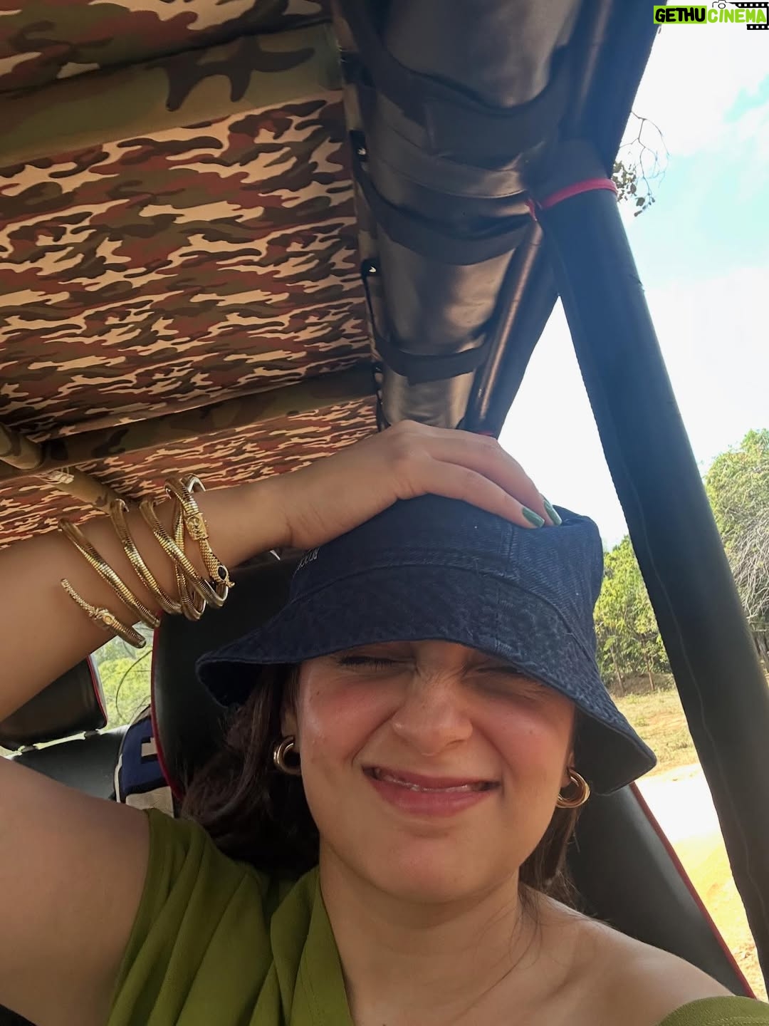 Meru Panwar Grover - 38.1K Likes - Jungle safari with my monkey 🐵 
Thank you @cordeliacruises for the most wonderful experience.
.
.
.
.
#merorang #junglesafari #srilanka #yalanationalpark