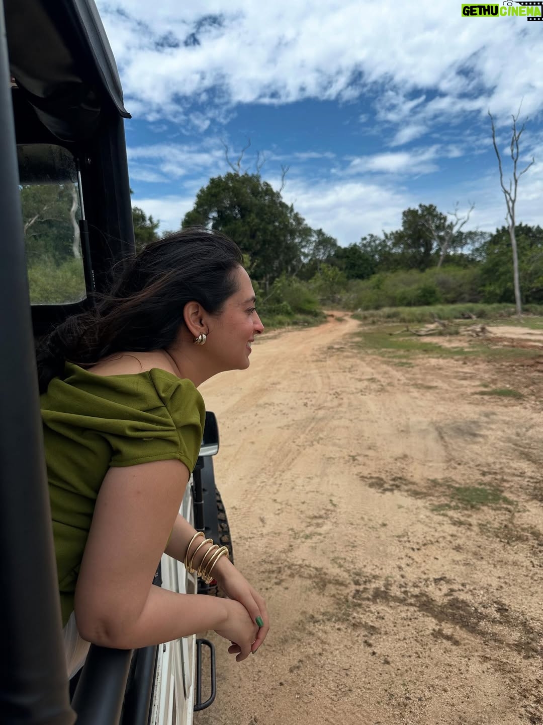 Meru Panwar Grover - 38.1K Likes - Jungle safari with my monkey 🐵 
Thank you @cordeliacruises for the most wonderful experience.
.
.
.
.
#merorang #junglesafari #srilanka #yalanationalpark