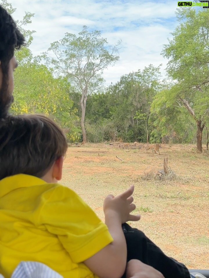 Meru Panwar Grover - 38.1K Likes - Jungle safari with my monkey 🐵 
Thank you @cordeliacruises for the most wonderful experience.
.
.
.
.
#merorang #junglesafari #srilanka #yalanationalpark