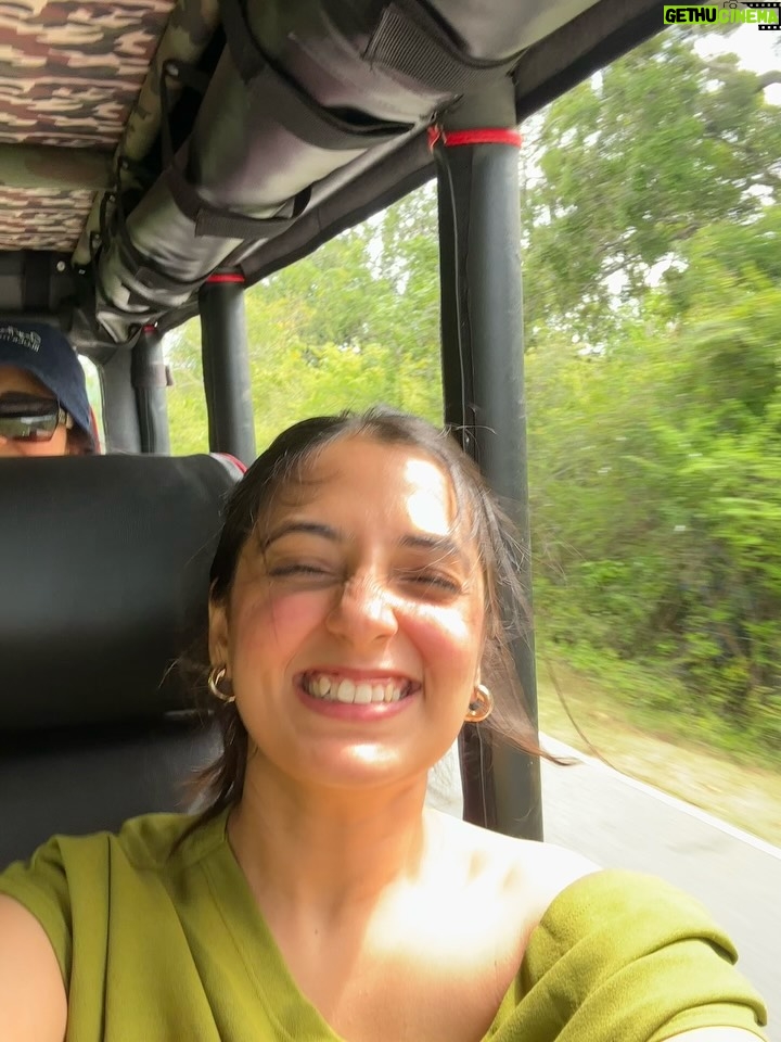 Meru Panwar Grover - 38.1K Likes - Jungle safari with my monkey 🐵 
Thank you @cordeliacruises for the most wonderful experience.
.
.
.
.
#merorang #junglesafari #srilanka #yalanationalpark