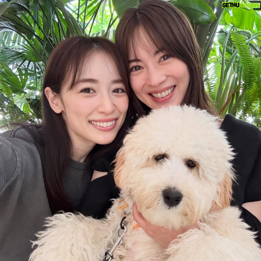 Mew Azama - 4K Likes - いずみゅー🩵💚

里香とよく会ってるんだけど

2人で写真って全然撮らないよね
たまには撮ろうか

で撮ってみた。笑
　

バブも一緒に🐶

トリミング前でボッサボサなのが残念…笑
　

でも大好きな里香にお散歩もしてもらって
ご機嫌なバブでした♡

#いずみゅー