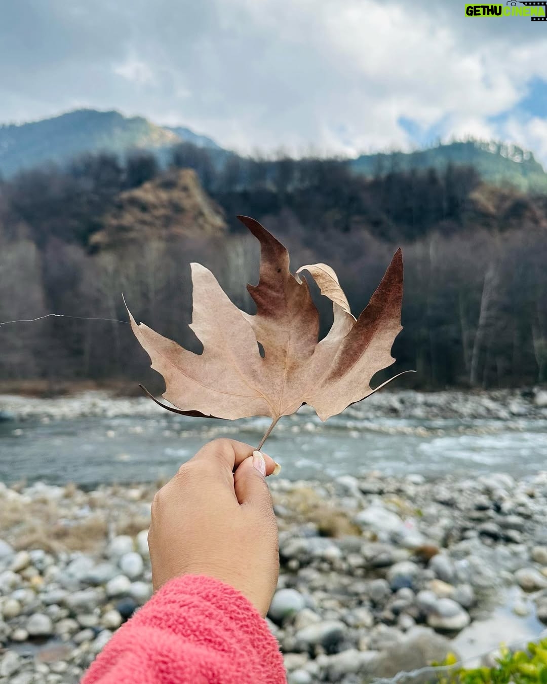Mitumaam - 426 Likes - Manali 📍🍁