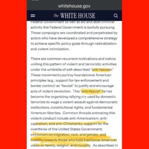 Molly Ringwald Instagram - While we were sleeping, the president has signed an executive order targeting those who do not agree with him. Anyone they decide is anti-American. Why do they get to say what is American? I love my country but I don't recognize it in this administration. Anti-Christian? Give me a break. What happened to the 1st amendment? No one is safe. Link in bio ⬆️#wakeup #endfascism #nokings #bluebaiting #votelikeyourlifedependsonit