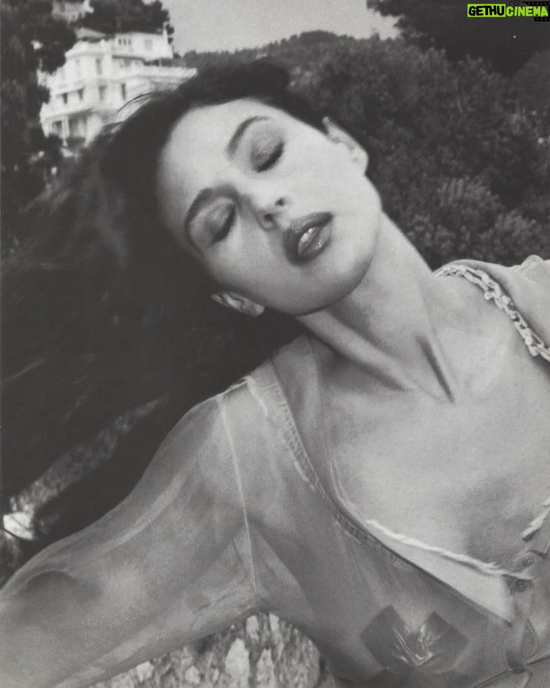 Monica Bellucci - 293.2K Likes - ❤️Photos From the archives of Helmut Newton @helmutnewtonfoundation 
for @vogueitalia 

#monicabellucci#tbt#photographer#helmutnewton#bnw#vogueitalia
