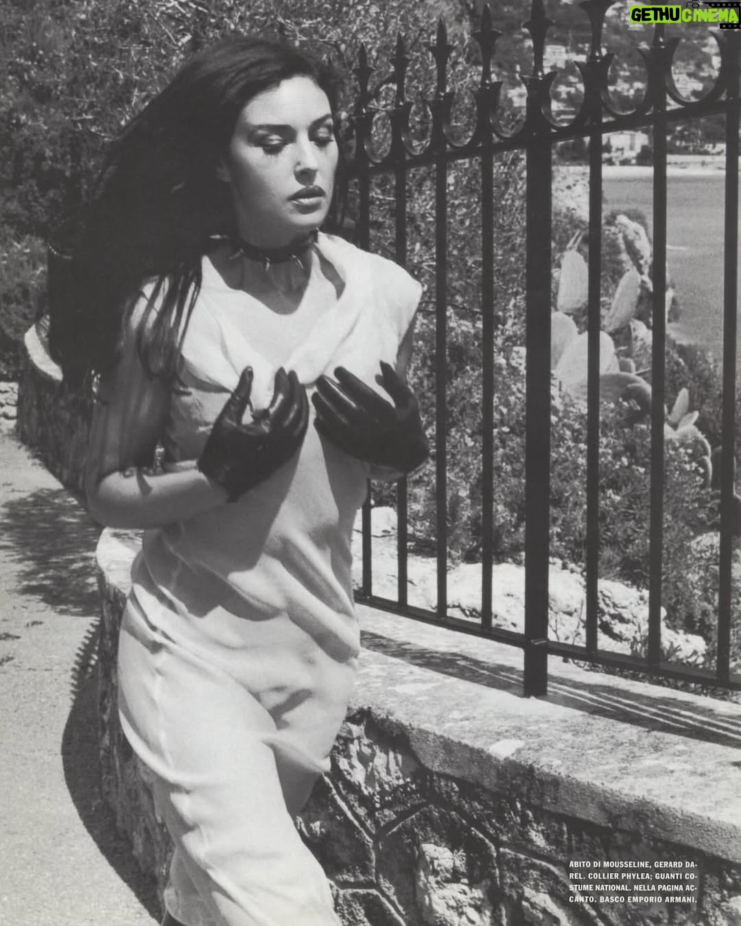 Monica Bellucci - 293.2K Likes - ❤️Photos From the archives of Helmut Newton @helmutnewtonfoundation 
for @vogueitalia 

#monicabellucci#tbt#photographer#helmutnewton#bnw#vogueitalia