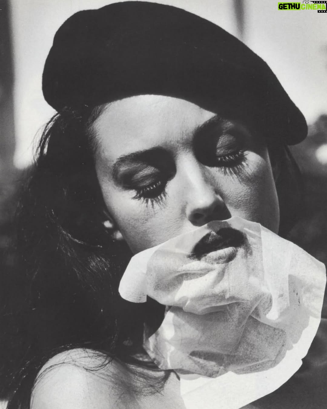 Monica Bellucci - 293.2K Likes - ❤️Photos From the archives of Helmut Newton @helmutnewtonfoundation 
for @vogueitalia 

#monicabellucci#tbt#photographer#helmutnewton#bnw#vogueitalia