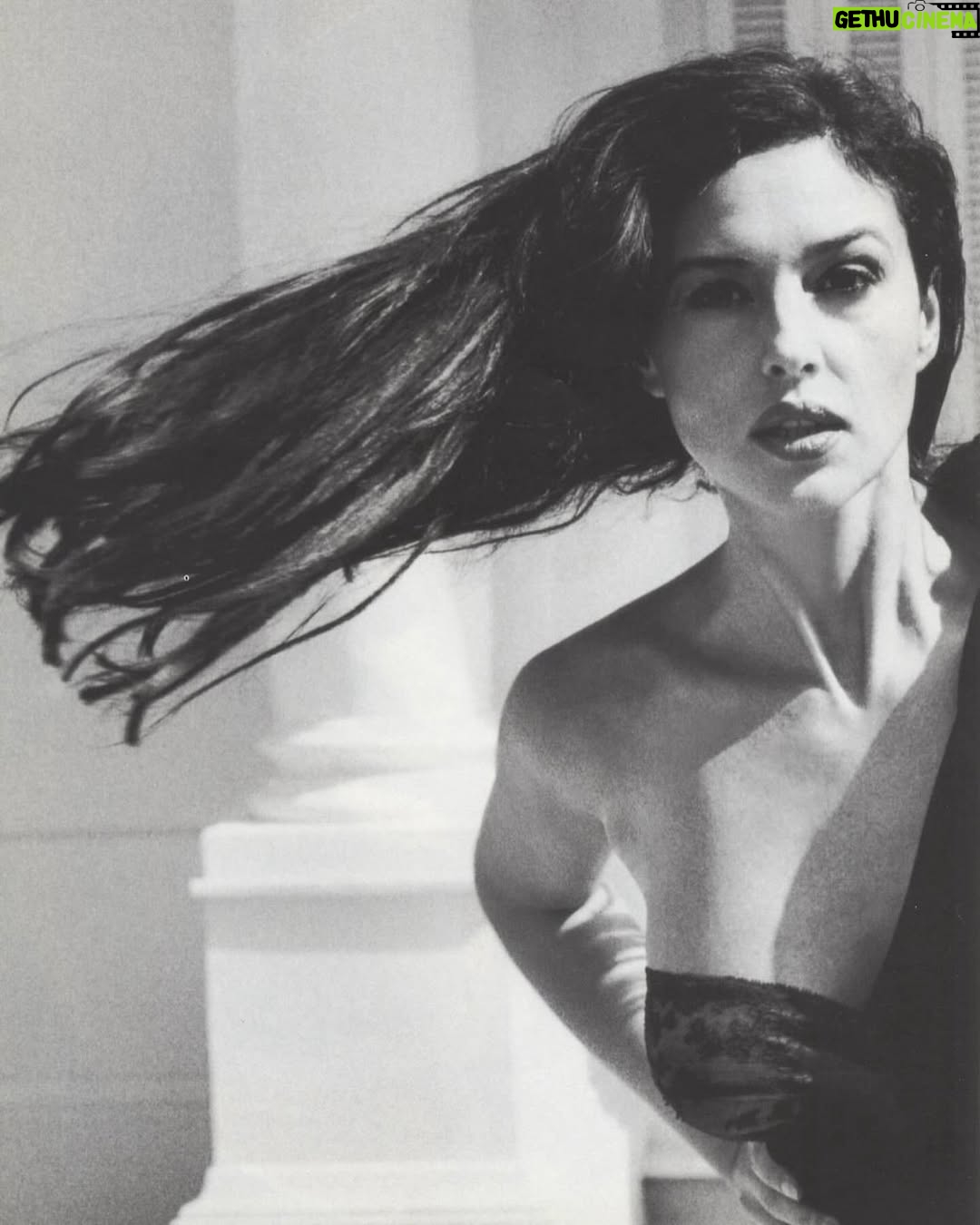 Monica Bellucci - 293.2K Likes - ❤️Photos From the archives of Helmut Newton @helmutnewtonfoundation 
for @vogueitalia 

#monicabellucci#tbt#photographer#helmutnewton#bnw#vogueitalia