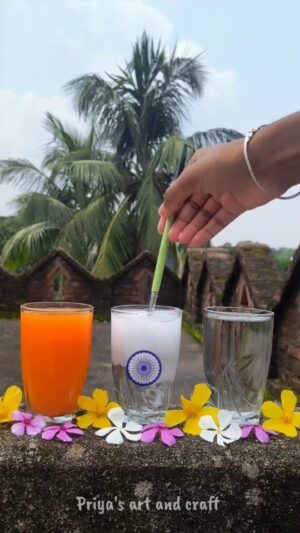 Monika Kushwah Instagram - Happy Independence Day
#independenceday #happyindependenceday #Independence #india #indian #79thindependanceday