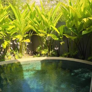 Monika Yadav Instagram - Booked a one-way trip… to my hotel bed 😴🌴 #staycationvibes
.
📍@noon.villas
.
#bali #staycation #indonesia #travel #villa #nofilter