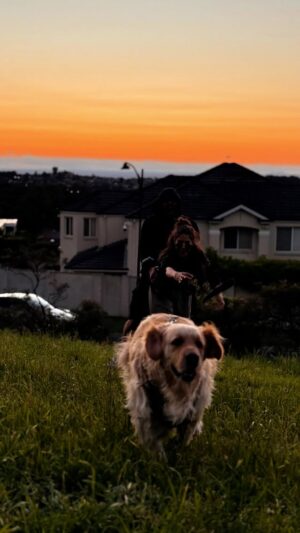 Mousha Khatri Instagram - just us, golden hour edition 🌅🐾