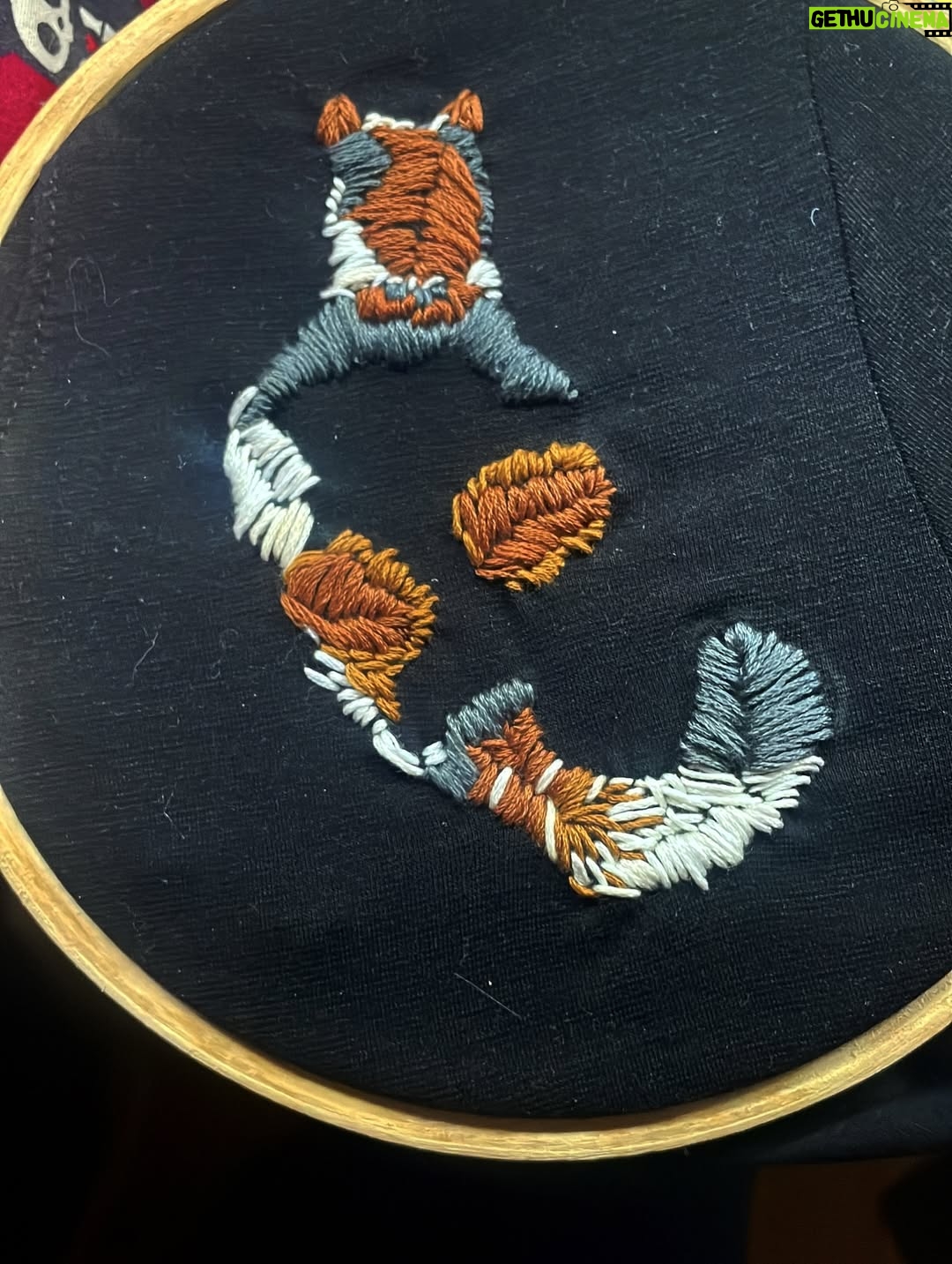 Mukta Barve - 23.9K Likes - Love of my life ZENDU.
Embroidered by me 😻

#zendu #DIY #cats_of_instagram #love #catlover #catlove #embroidery #madewithlove #mycat #turkishvancat #calico #handmade