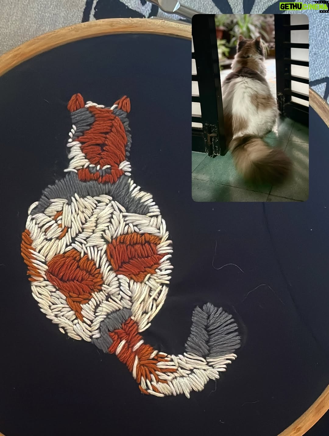 Mukta Barve - 23.9K Likes - Love of my life ZENDU.
Embroidered by me 😻

#zendu #DIY #cats_of_instagram #love #catlover #catlove #embroidery #madewithlove #mycat #turkishvancat #calico #handmade